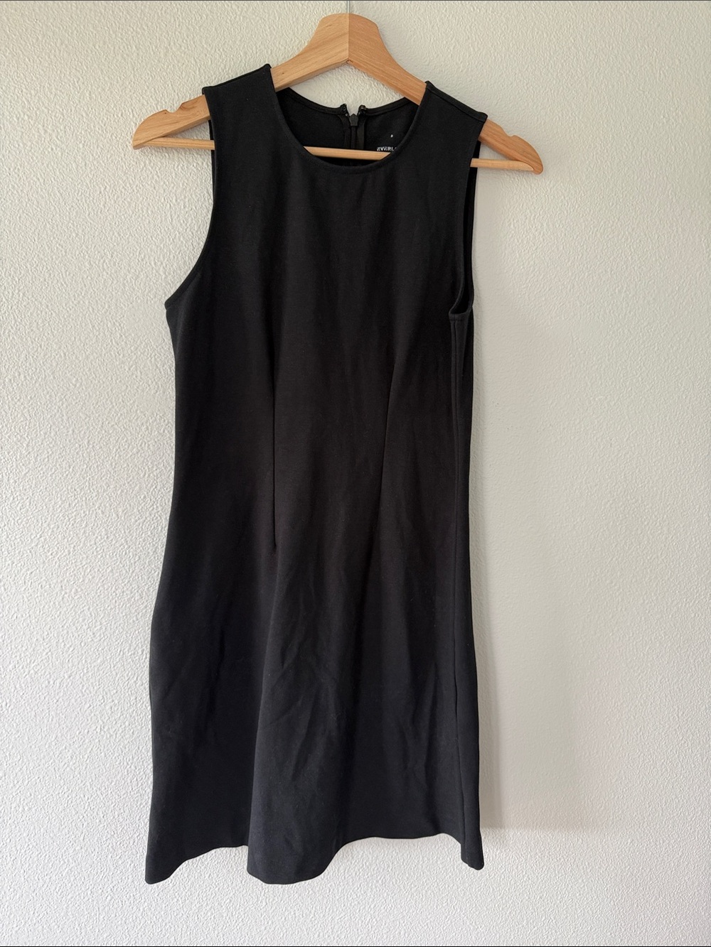 Everlane The Dream 90s Shift Dress Small